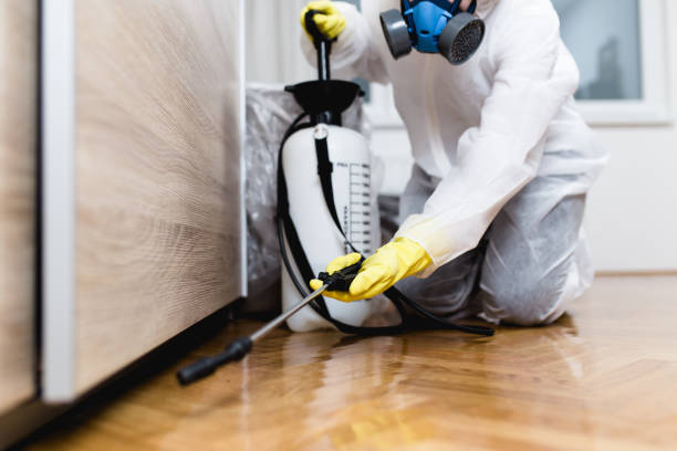 Reliable Weber City, VA Pest Control Solutions