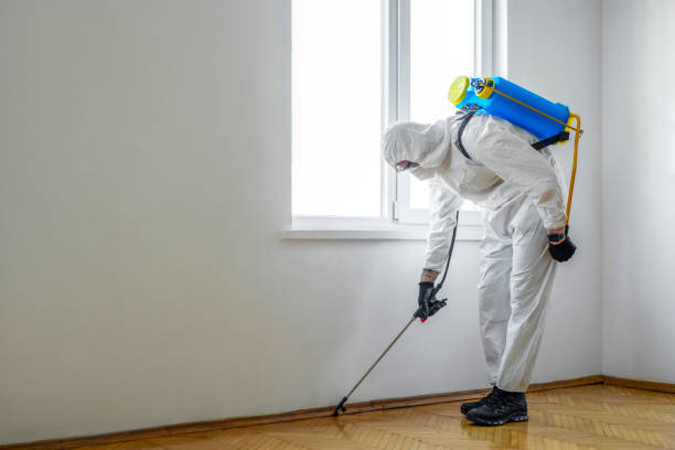 Best Best Pest Control Companies  in Weber City, VA