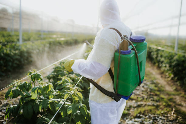 Best Best Pest Control Companies  in Weber City, VA